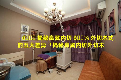 🐎 揭秘鼻翼内切 🐼 外切术式的五大差异「揭秘鼻翼内切外切术式的五大差异是什么」